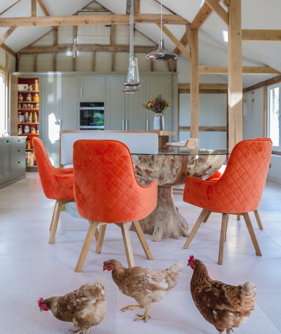 Country house kitchen complete with chickens