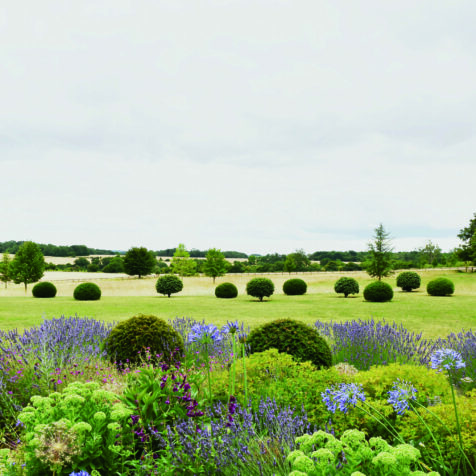 Daniel Combes – Garden Designer