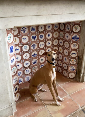 Polly Fern's dog sitting in front of her Manganese Tiles