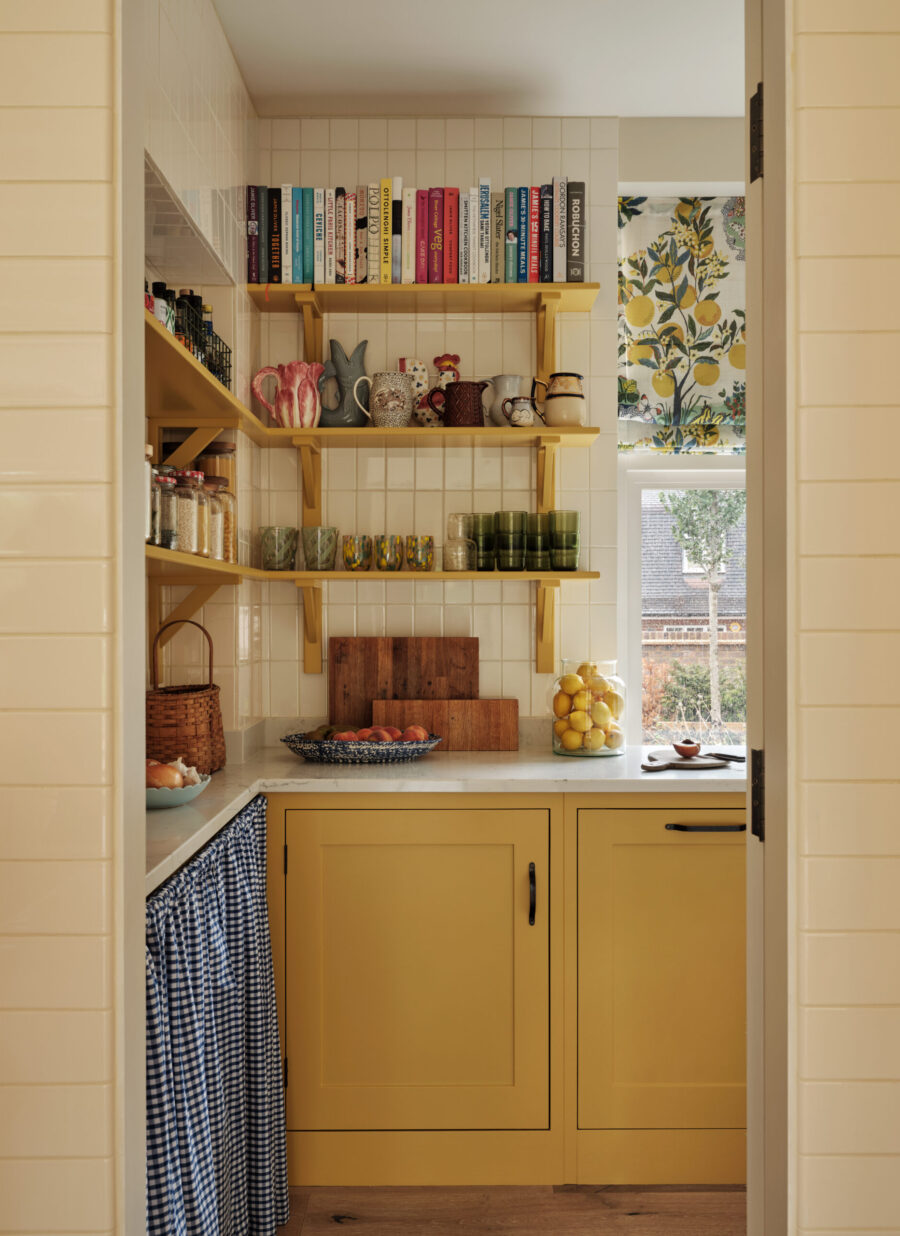 A contemporary yellow walk-in kitchen pantry