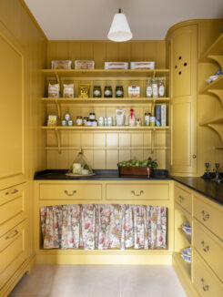 Yellow Walk- In Pantry
