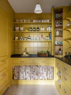 A yellow panelled walk-in pantry 