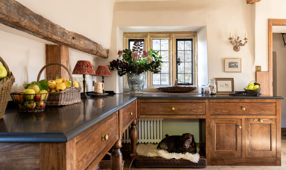 Bespoke Luxury Dog Room Design