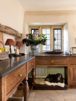 Bespoke Luxury Dog Room Design with dog on bed